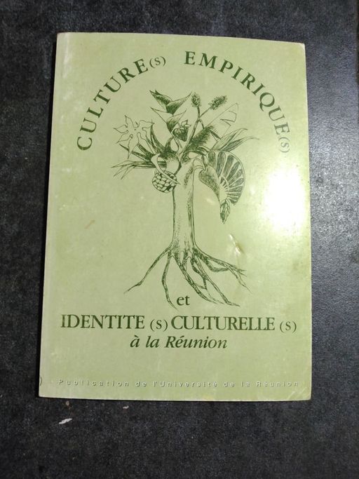 Cultures empiriques et identités culturelles | collectif sous la direction de BAGGIONI et Martine MATHIEU