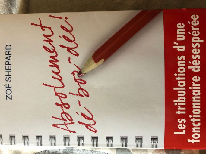 Absolument debordée | Zoé Shepard