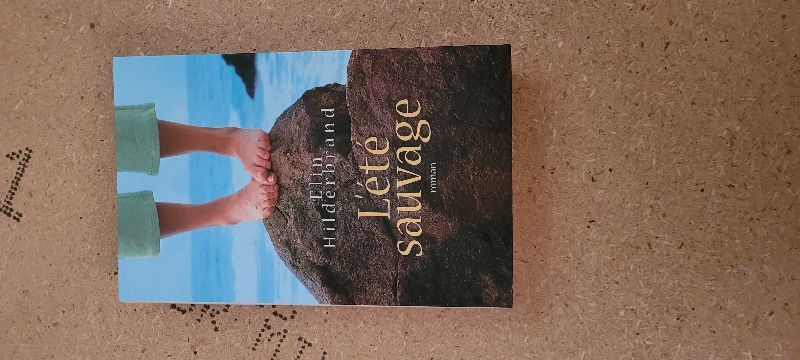 L'été sauvage | Elin Hilderbrand