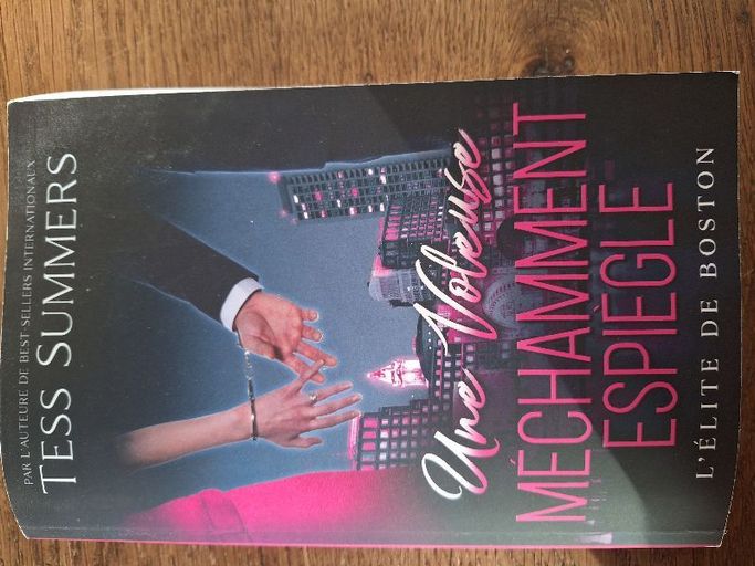 Une voleuse méchamment Espiègle | Tess Summers