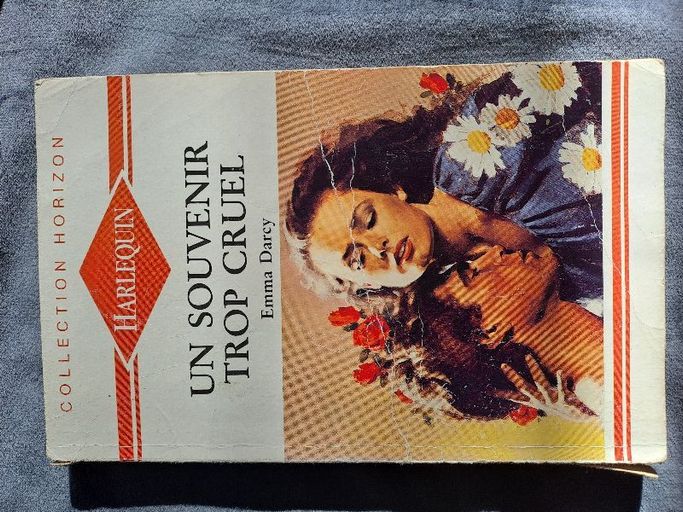 Un souvenir trop cruel | Emma Darcy