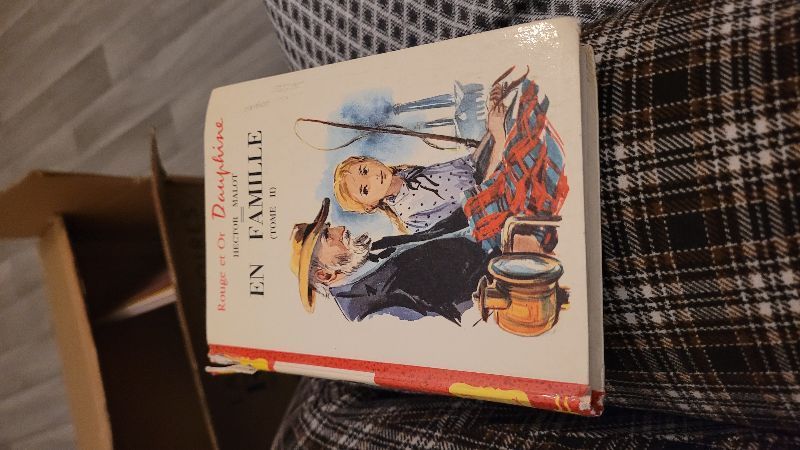 En famille | Hector malot