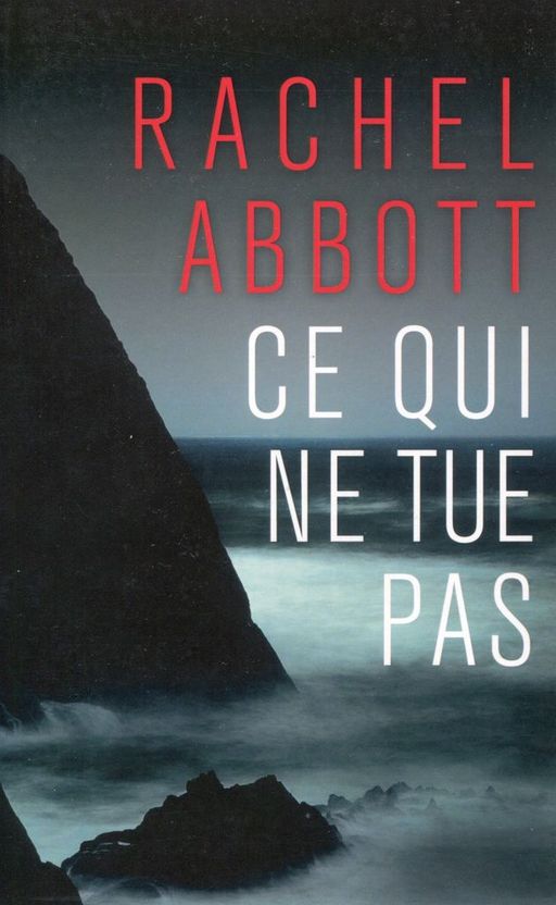 Ce qui ne tue pas | Rachel Abbott