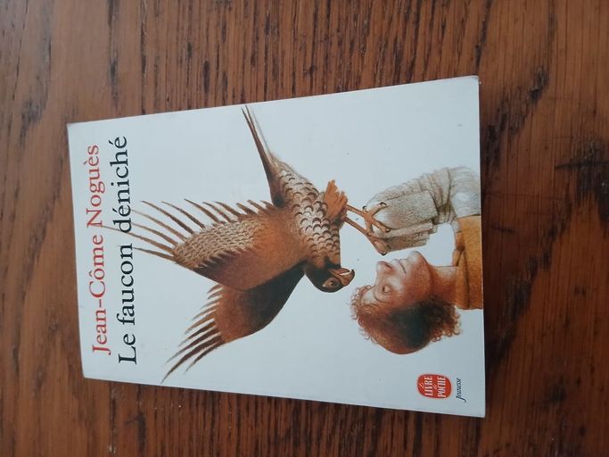 Le faucon déniché | Jean-Côme Noguès, Chantal Cazin
