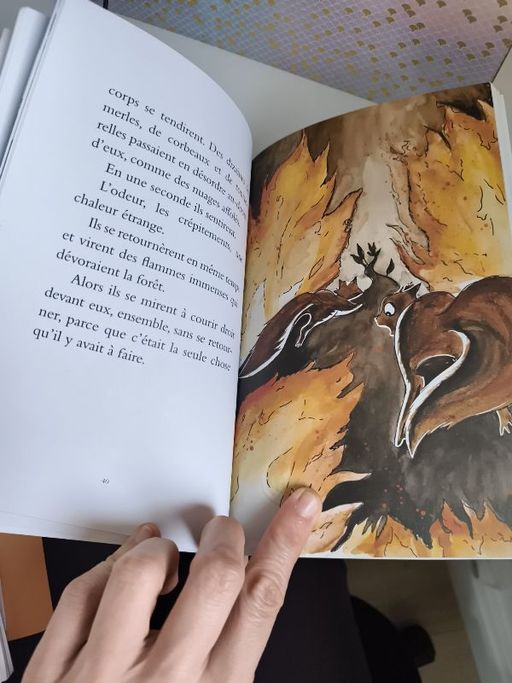 Marilou et le grand incendie | Valérie Zenatti