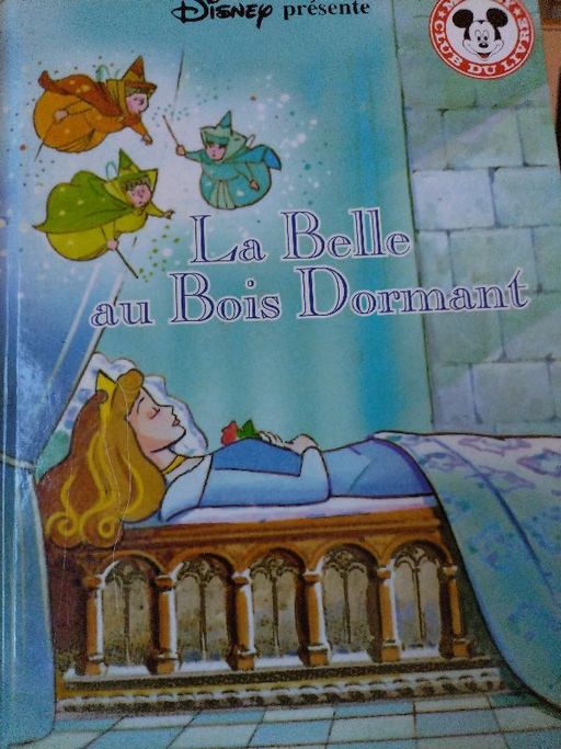 La belle au Bois dormant | The walt disney