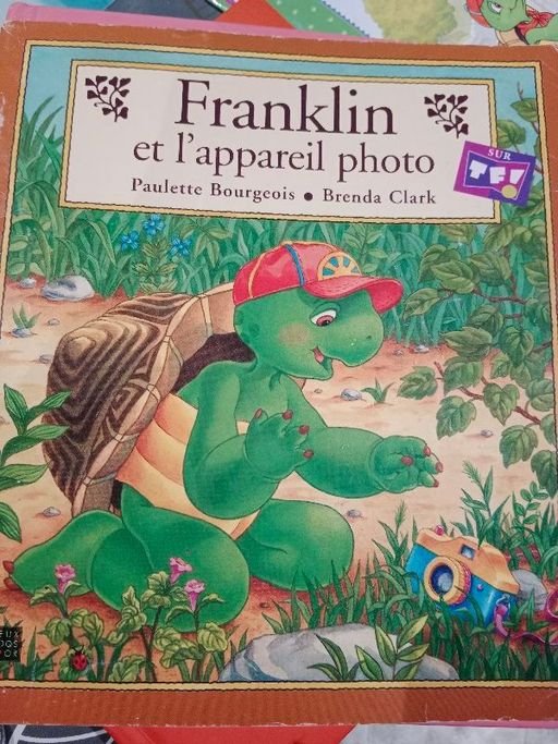 Franklin et l'appareil photo | Paulette Bourgeois et Brenda Clark