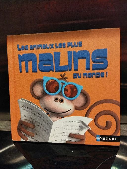 Les animaux les plus malins du monde | Rémy Tornior