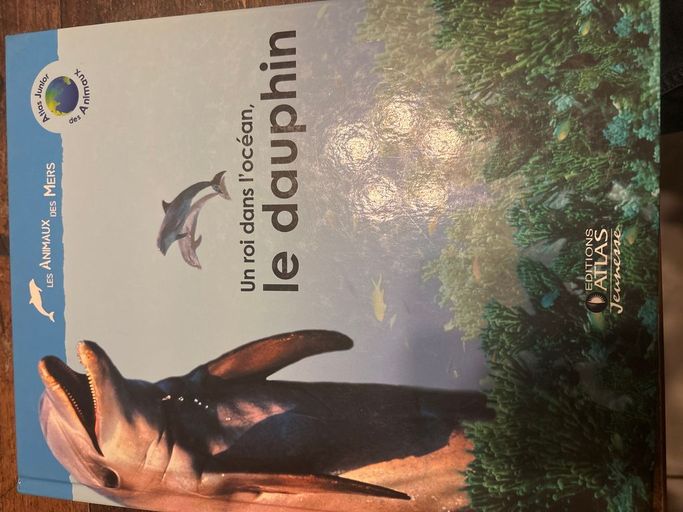 Un roi dans l’océan le dauphin | Anne royer