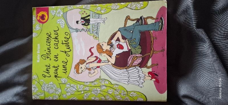 Une princesse peut en cacher une autres | Kate Brian
