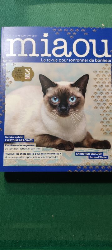 Miaou pour ronronner de bonheur n°7 - Histoires des chats | Pierre Olivier Bonfillon