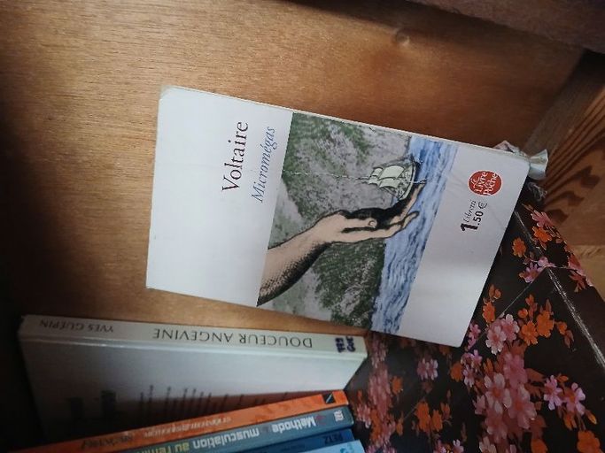 Micromegas libretti | Volaire