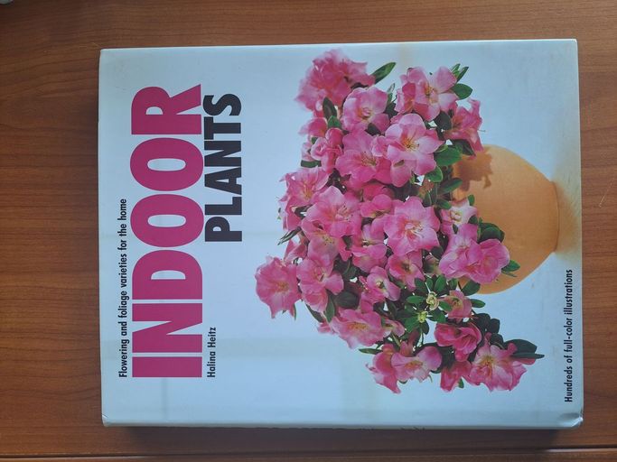 Indoor Plants | Halina Heitz