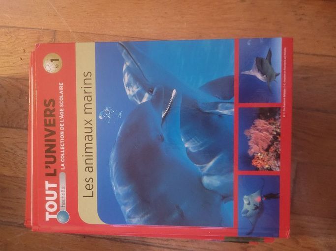 Tout l'univers Animaux marins | Hachette collection