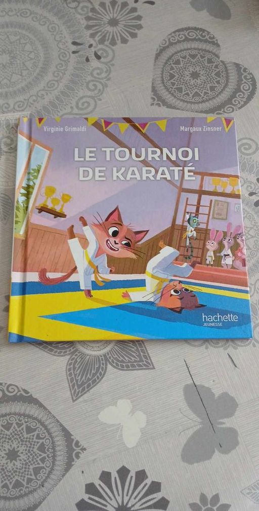 le tournoi de karaté | Virginie Grimaldi
