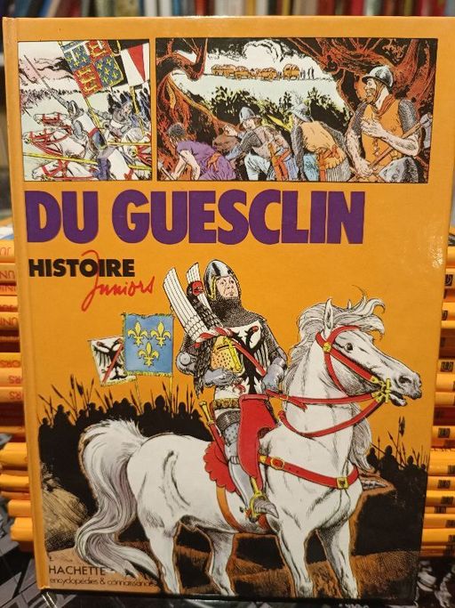 Du Guesclin | Jacques Gauvard