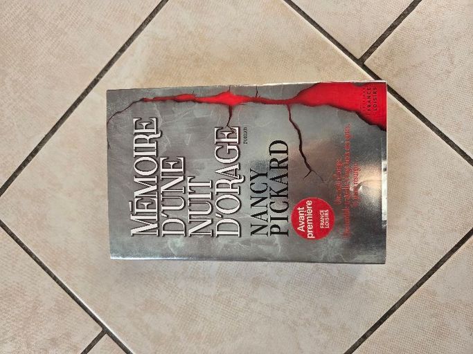 Mémoire d'une nuit d'orage | Nancy Pickard