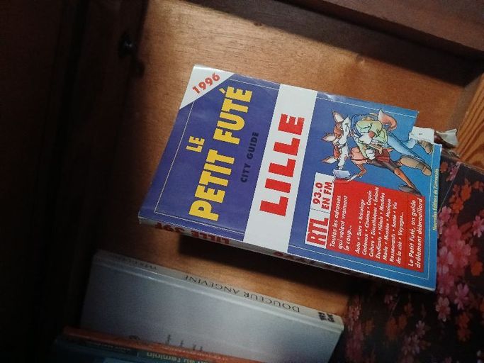 Lille 1996 city guide | Le petit futé