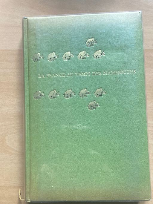 La France au temps des mammouths | Un collectif d’historiens