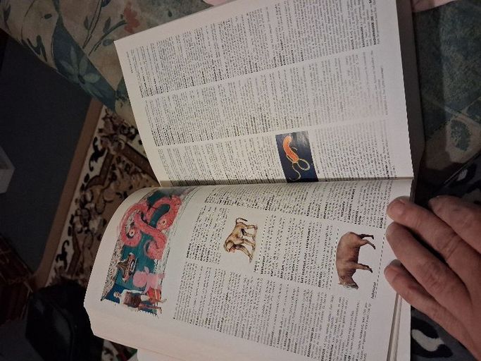 Petit larousse illustré 2007 | Larousse