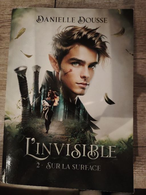 L'invisible 2 | Danielle Dousse