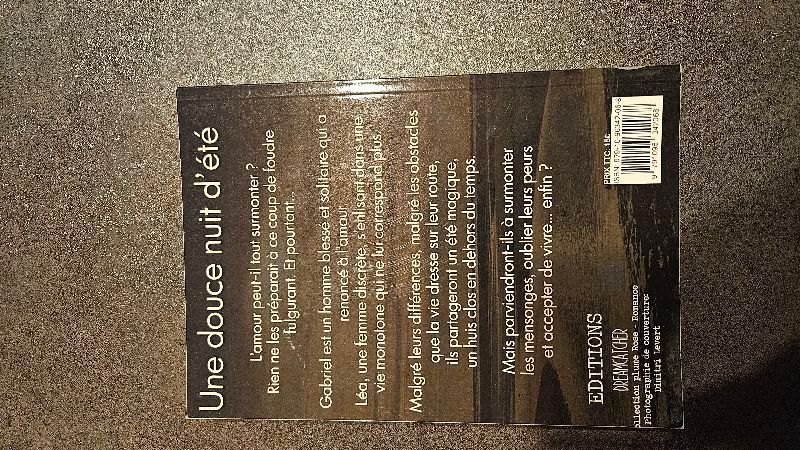 Une douce nuit d'été | Angélique Fejean