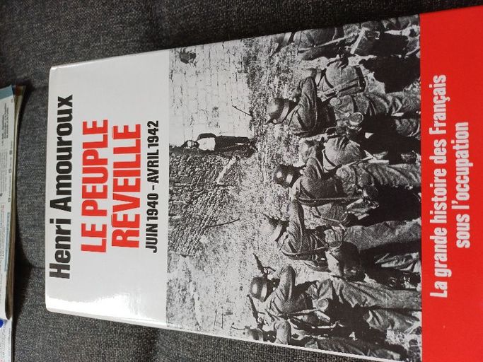 Le reve Éveillé | Henri Amouroux