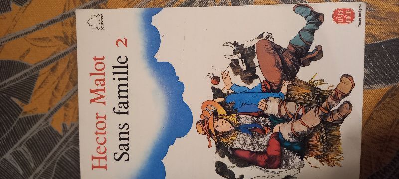 Sans famille 2 | Hector MALOT