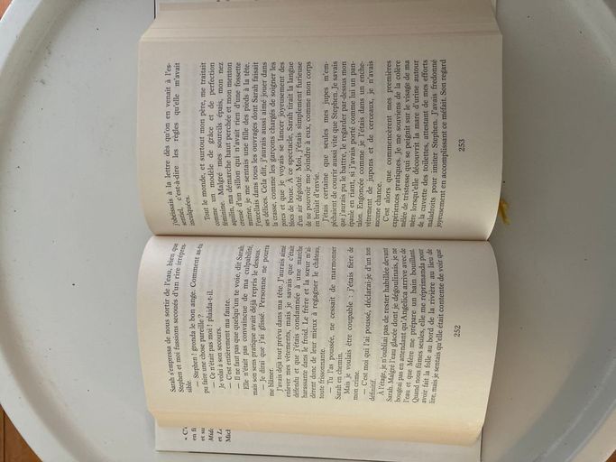 L'infortunée | Wesley Stace