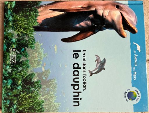 Un roi de l’océan, le dauphin | Anne Royer