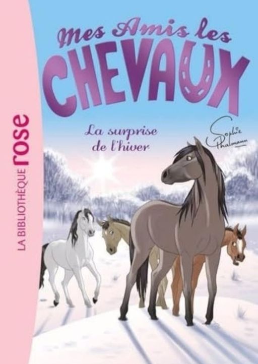 La surprise de Noel | Sophie Thalmann