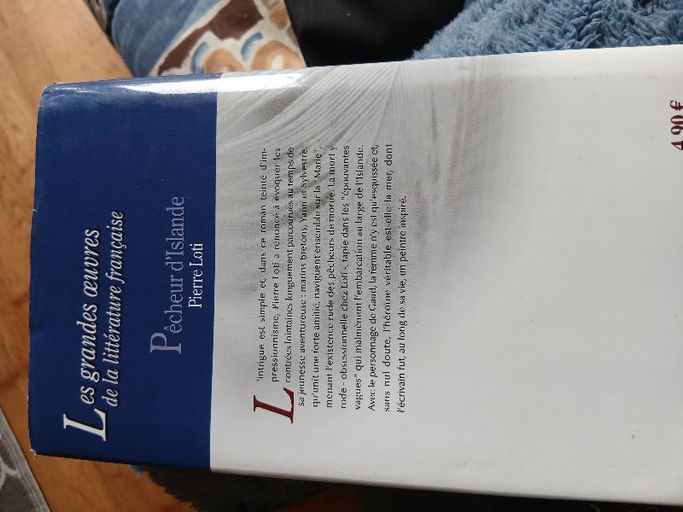 Pêcheur D’islande | Pierre  Loti