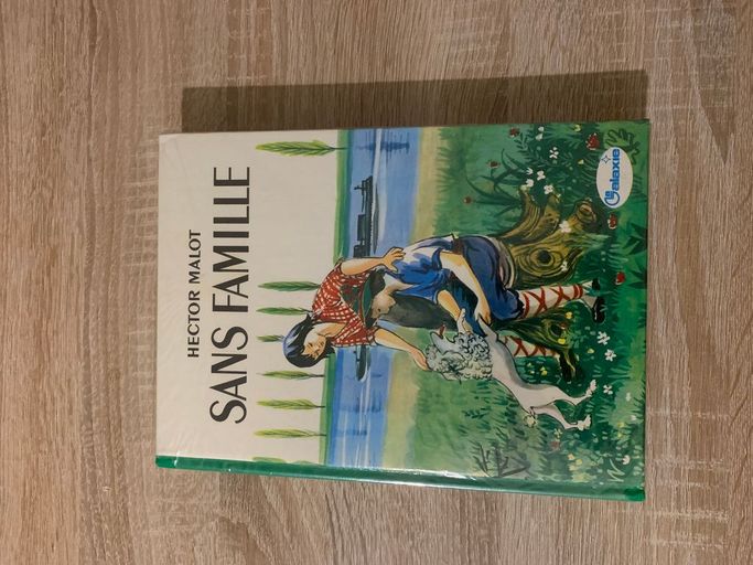 Sans famille | Hector malot