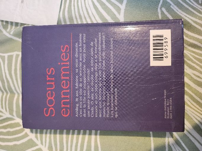 Soeur ennemies | Siobhán Parkinson