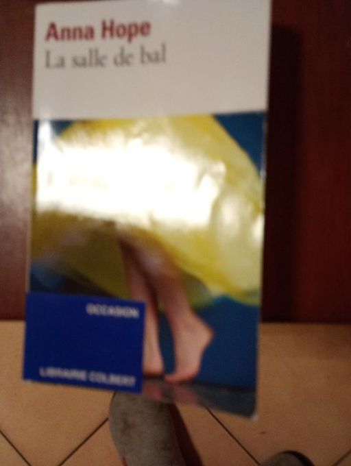 La salle de bal | Anna Hope