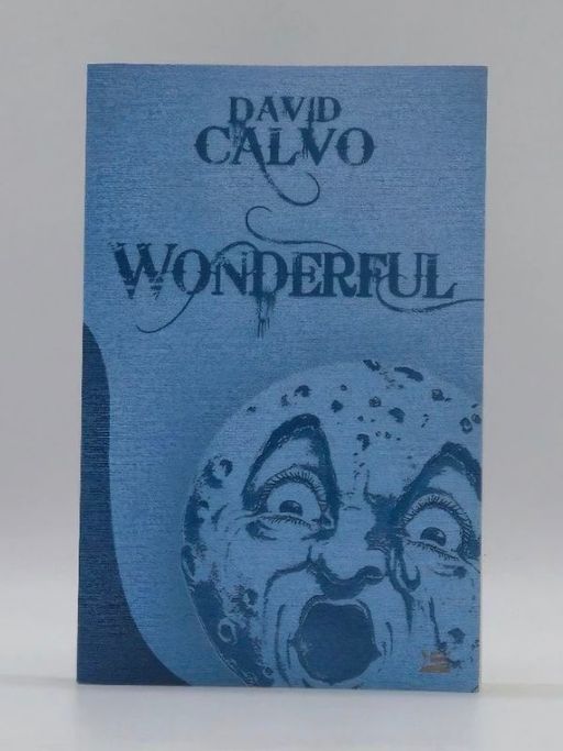 Wonderful | David Calvo