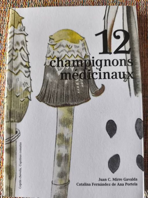 12 champignons médicinaux | Juan C. mirre Gavalda