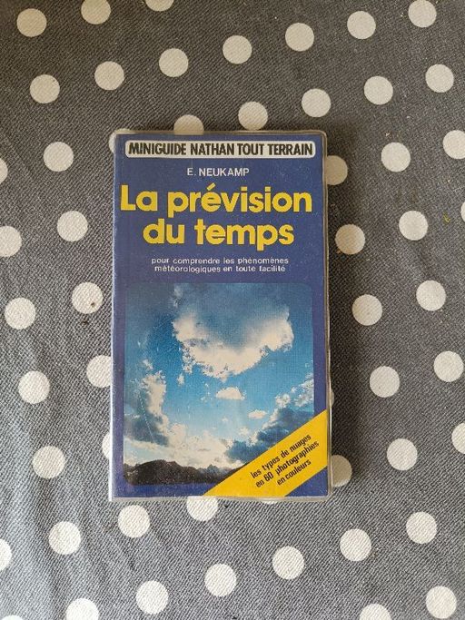 La prévision du temps | Neukamp