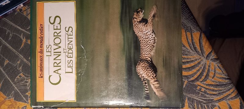 Les carnivores et les édentés | Patrice LERAUT