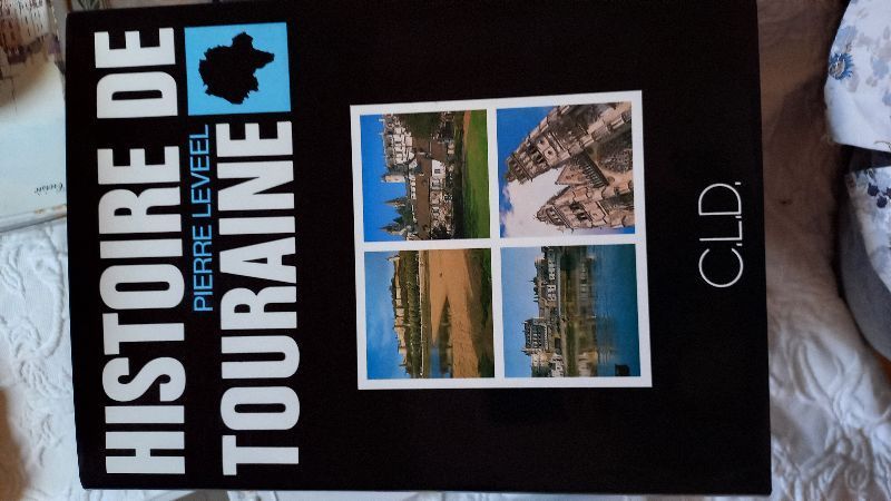 Histoire de Touraine | Pierre Leveel