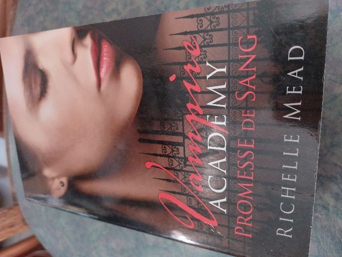 Vampire academy tome 4 | Richelle Mead
