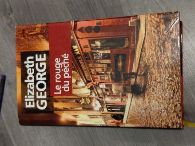 Le rouge du péché | Elizabeth Geroge