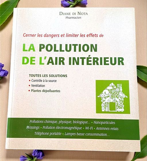 La pollution de l'air intérieur | Diane Di Nova