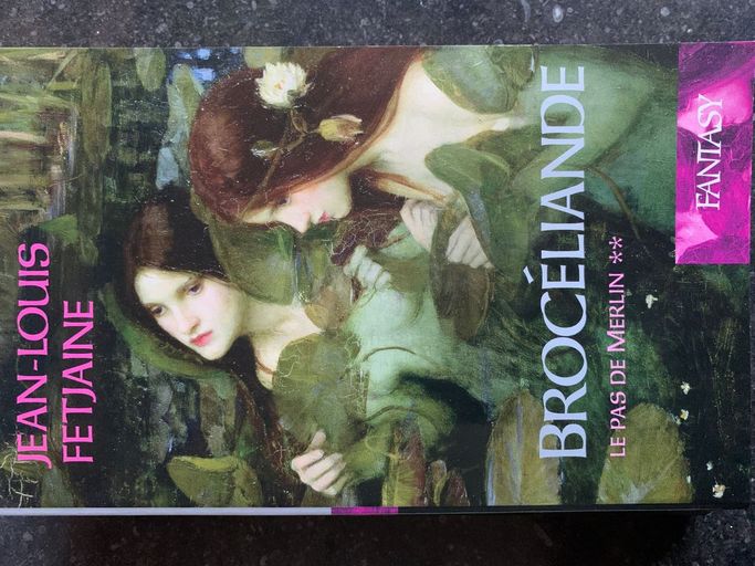 Brocéliande. Le Pas de Merlin | Jean-Louis Fetjaine
