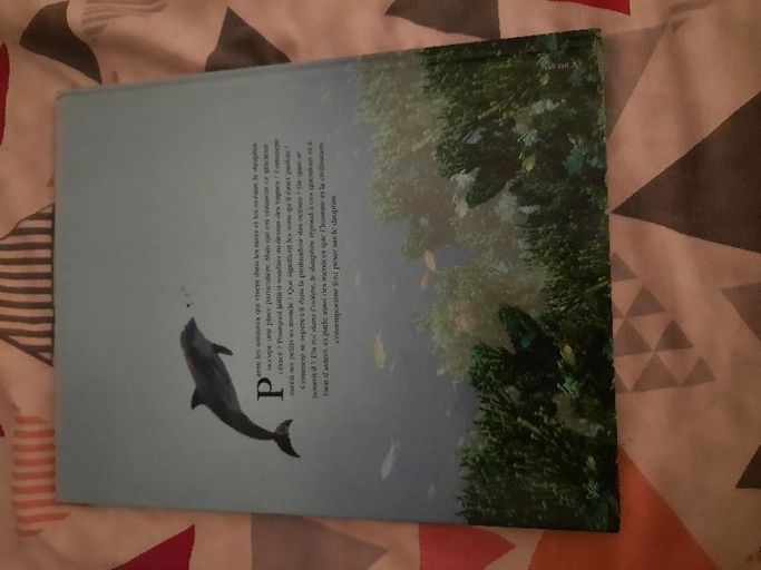Un roi dans l'océan, le dauphin | Anne Royer