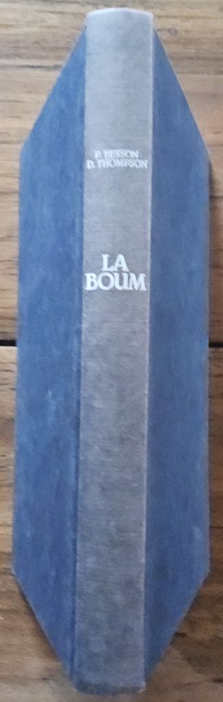 La Boum | Patrick Besson & Danièle Thompson