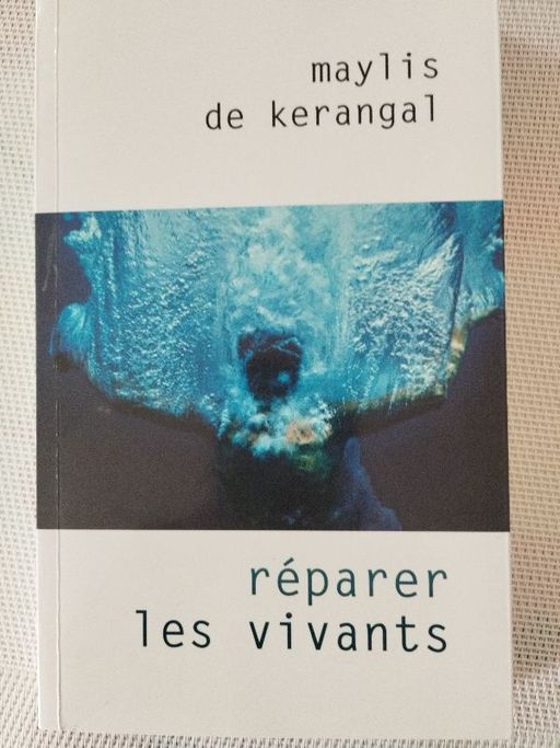 Réparer les vivants | Maylis de Kerangal