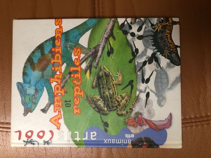 Amphibiens et reptiles | Son Tyberg