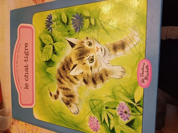 Le chat-tigre | Romain simon