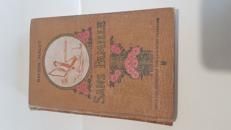 Sans famille tome 2 | Hector Malot